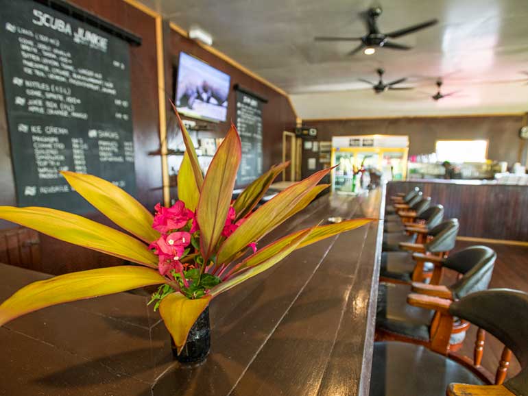 scuba junkie bar