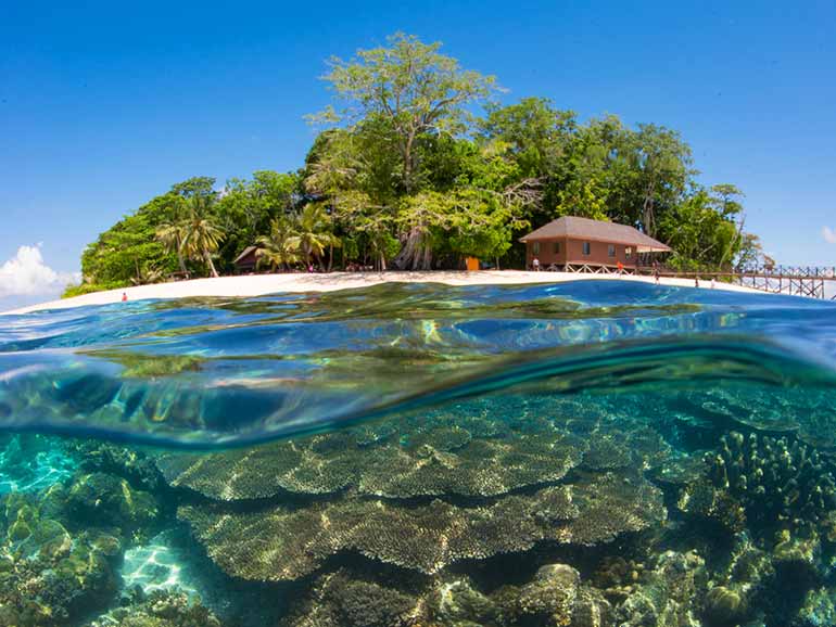 Sipadan snorkeling