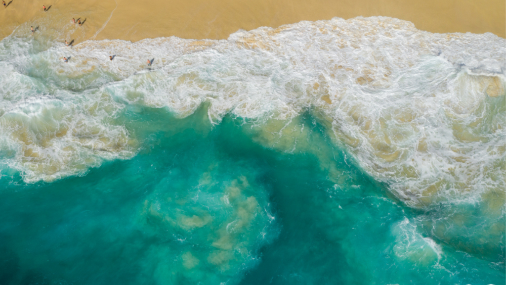 world oceans day