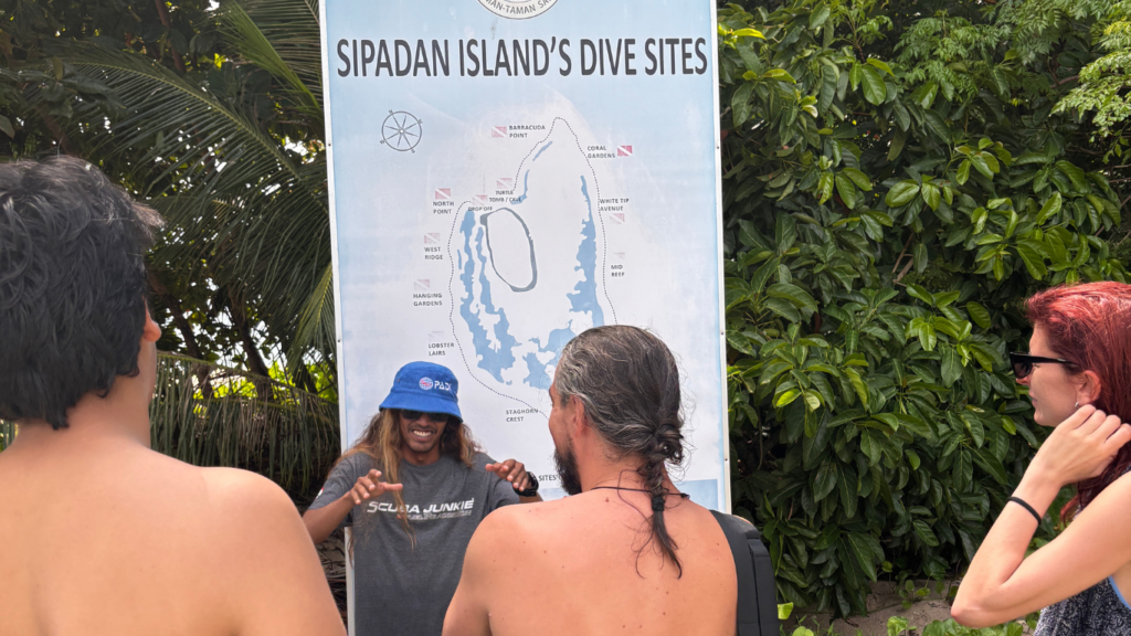 dive briefing
