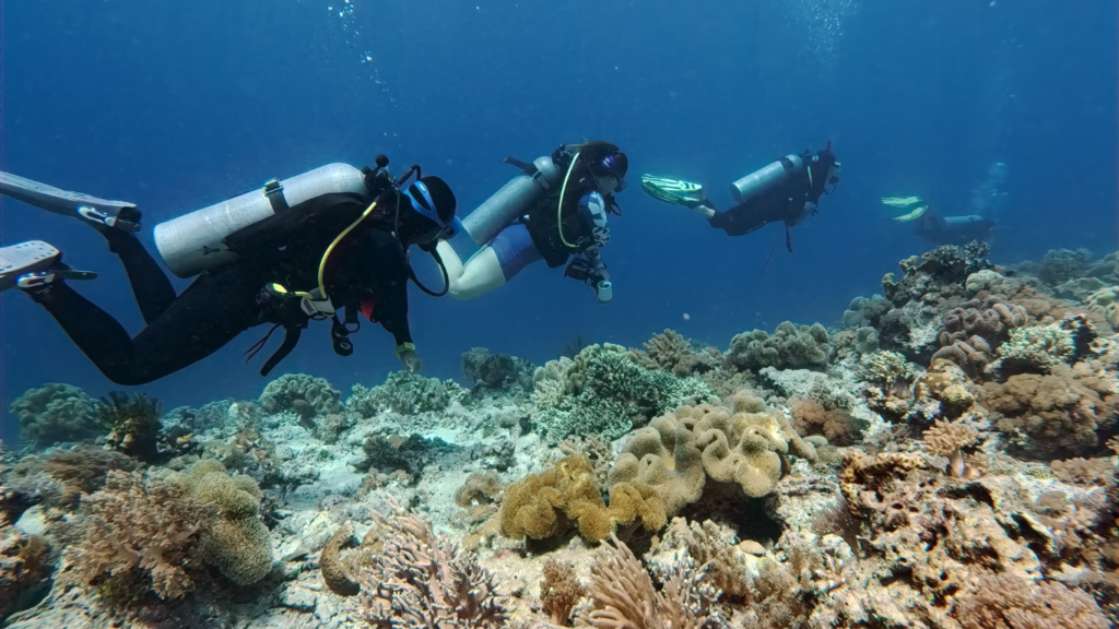 Dive Day in Mabul