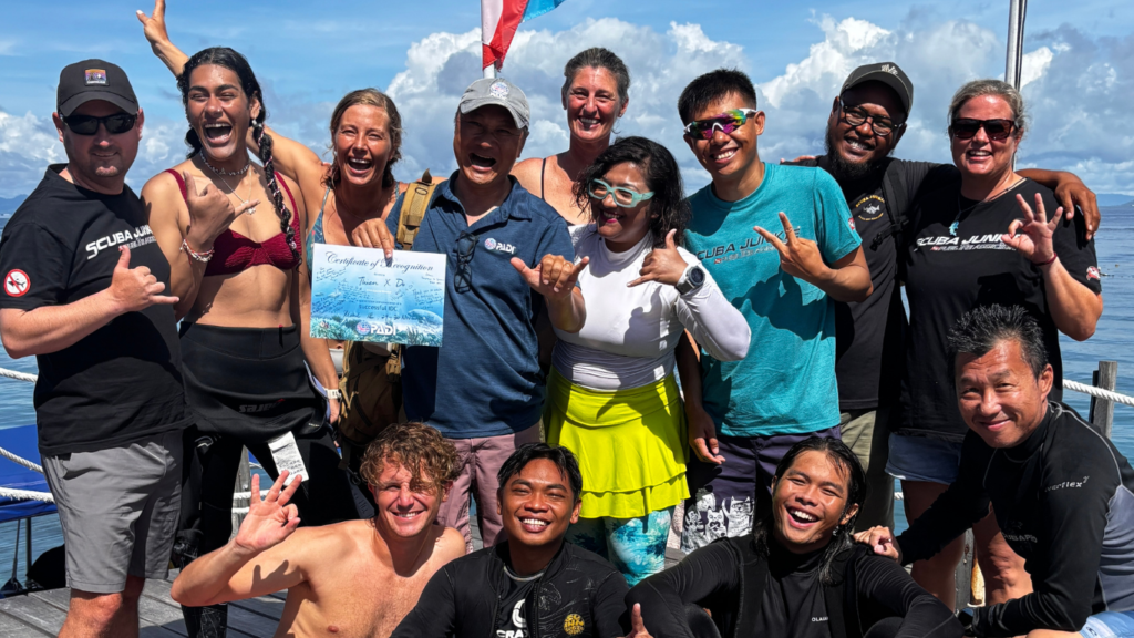 padi idc