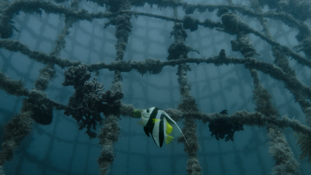sipadan closure
